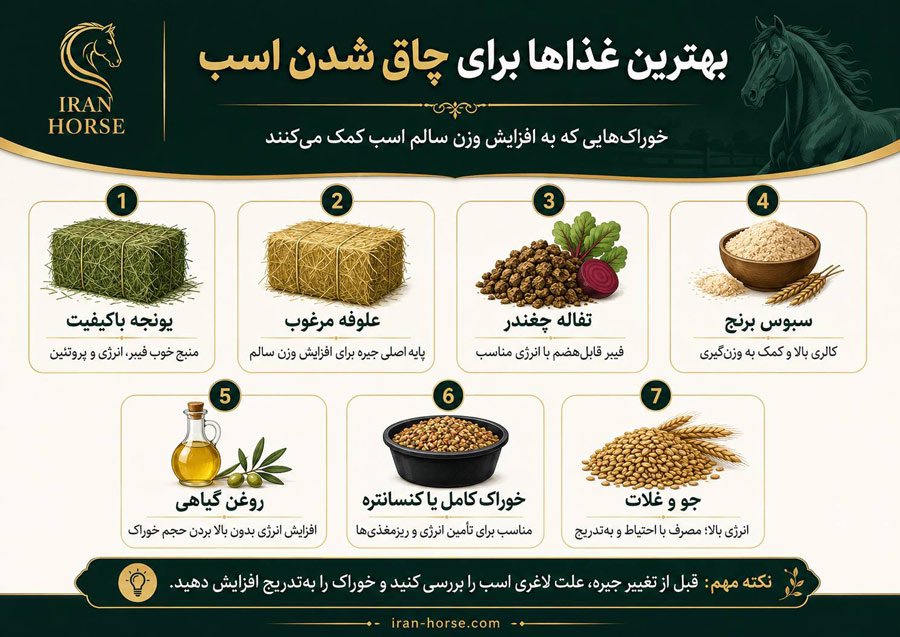 بهترین غذاها برای چاق شدن اسب