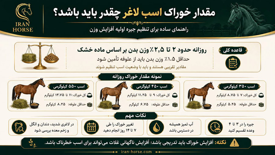 مقدار خوراک اسب لاغر چقدر باید باشد؟