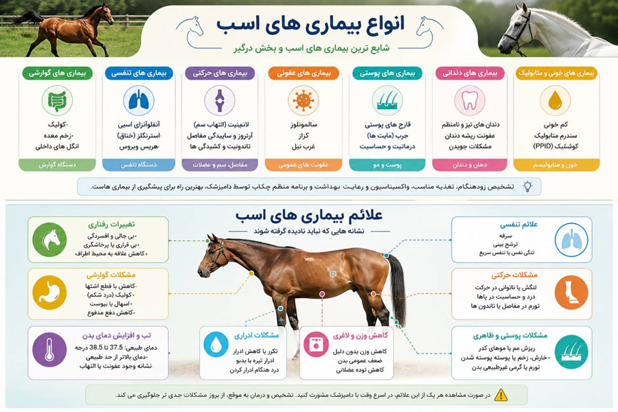 علائم بیماری های اسب