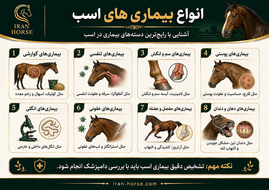 انواع بیماری اسب
